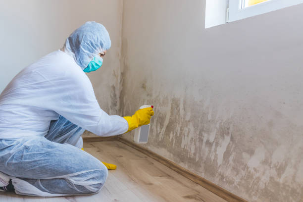 Licensed Crawl Space Mold Removal service in Mound, MN - WQB Mold Removal