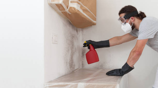 Professional Crawl Space Mold Removal technician working in Mound, MN