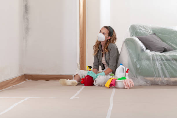 Reliable Crawl Space Mold Removal contractor in Mound, MN by WQB Mold Removal